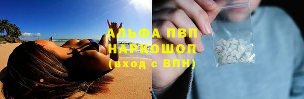тгк Володарск