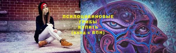тгк Володарск